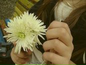 Наська =) фотография #14 (источник - https://vk.com/id89937884)