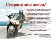 Фотография Малявина Павла