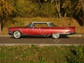 Дмитрий Чеботарь фотография #3 (источник - https://vk.com/id114222)