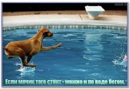 Фотография Счастливого Владимира