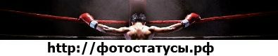 Міша Боксер фотография #1