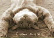 Каріна Верховська фотография #21 (источник - https://vk.com/id74880313)