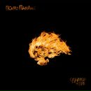 Фотография Липатова Ильи