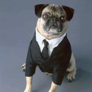 Фотография Полякова Жекаси