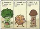 Діанчик Масянчик фотография #50 (источник - https://vk.com/id135822083)