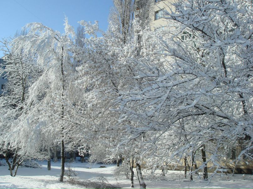 Евгений Бугаенко фотография #3