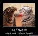  фотография #46