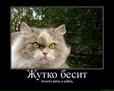 Фотография Мосина Руслана