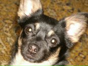 Фотография Ефимовой Александры