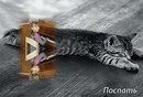 Каріна Воропаєва фотография #9 (источник - https://vk.com/id150148885)