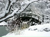 Фотография Курдиной Алисы