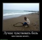 Орися Павлівченко фотография #33 (источник - https://vk.com/id70011075)