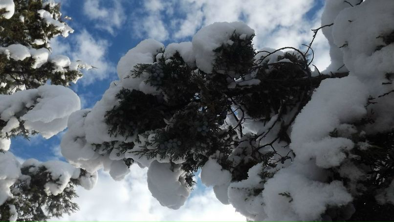 Влад Бугаревский фотография #8