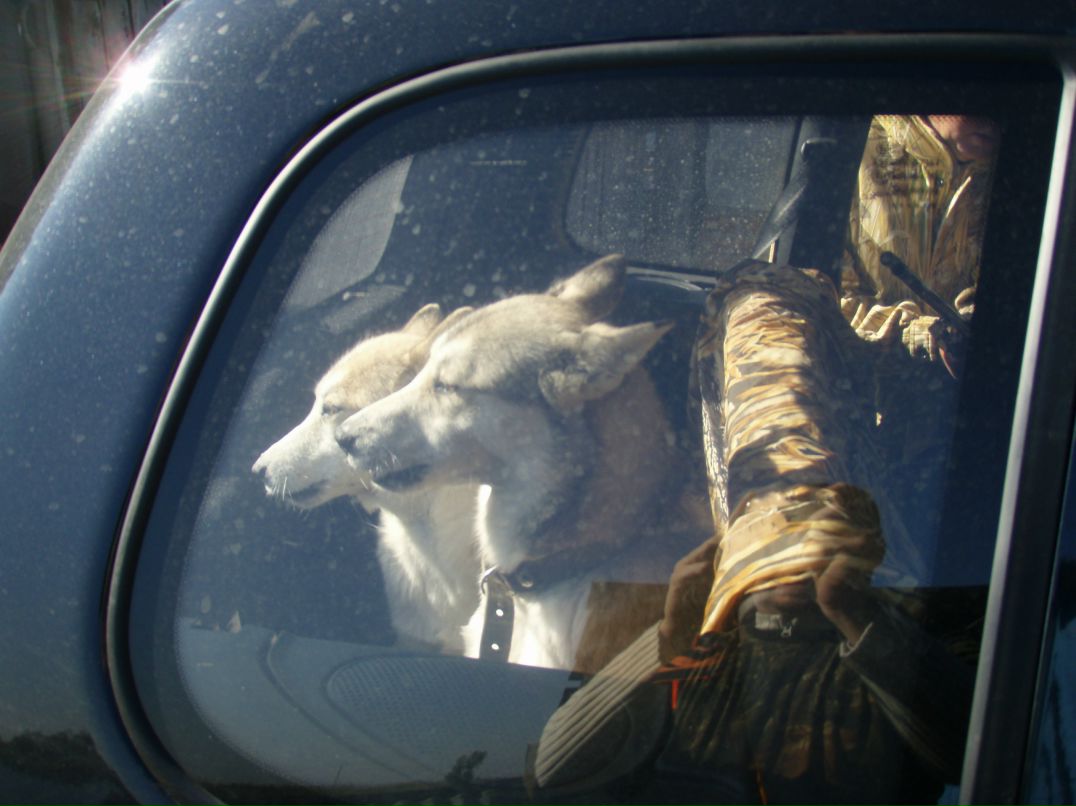 Сергей Усачев фотография #26