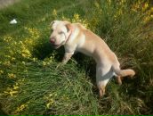 Ростік Худик фотография #26 (источник - https://vk.com/id87017695)