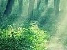 Юрчик-І-Аллуська Венгер фотография #18 (источник - https://vk.com/id168264981)