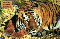 Фотография Терещенко Радослава