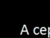 Дмитрий Бер фотография #7 (источник - https://vk.com/id1449412)