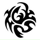 Фотография Шилова Васи