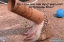 Ігор Бойко фотография #30 (источник - https://vk.com/id163382798)