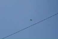 Сергей Кущ фотография #25 (источник - https://vk.com/id2945238)