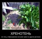 Інна Дещенко фотография #15 (источник - https://vk.com/id67643930)