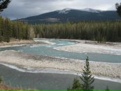 Ігор Коцюба фотография #17 (источник - https://vk.com/id1235773)