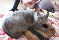 Дмитрий Соснин фотография #19 (источник - https://vk.com/id2698364)