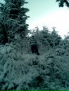 Олександр Івахненко фотография #6 (источник - https://vk.com/id151244542)