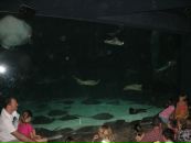 Назар Двуліт фотография #47 (источник - https://vk.com/id9731008)