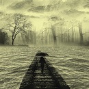 Фотография Тимофеевой Эльмиры