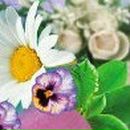 Вікторія Капля фотография #29 (источник - https://vk.com/id23414341)