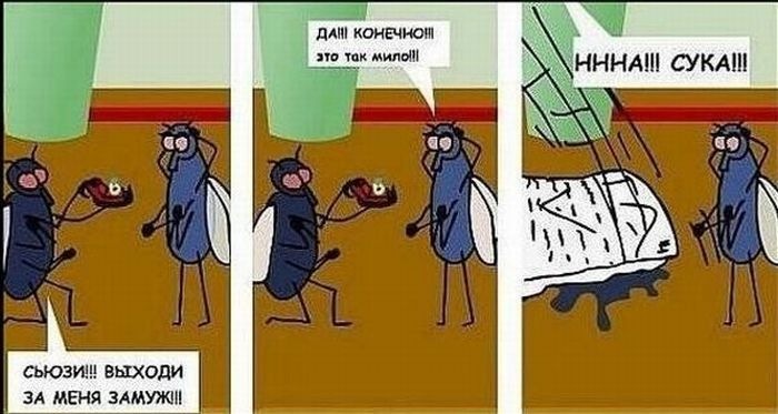 Юрий Чесноков фотография #28