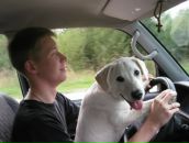 Фотография Зиборова Евгения