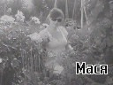 Вікусик Дерій фотография #49 (источник - https://vk.com/id137441039)