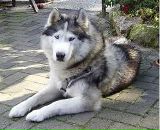 Сірожа Руденко фотография #15 (источник - https://vk.com/id103209136)