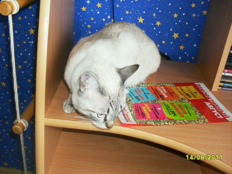 Игорь Лихачёв фотография #42