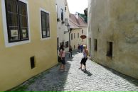 Алёна Петренко фотография #38 (источник - https://vk.com/id7672013)