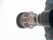 Фотография Ломакина Андрея