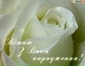 Дмитрій Багинський фотография #5 (источник - https://vk.com/id65811170)
