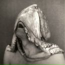 Фотография Генералова Михаила