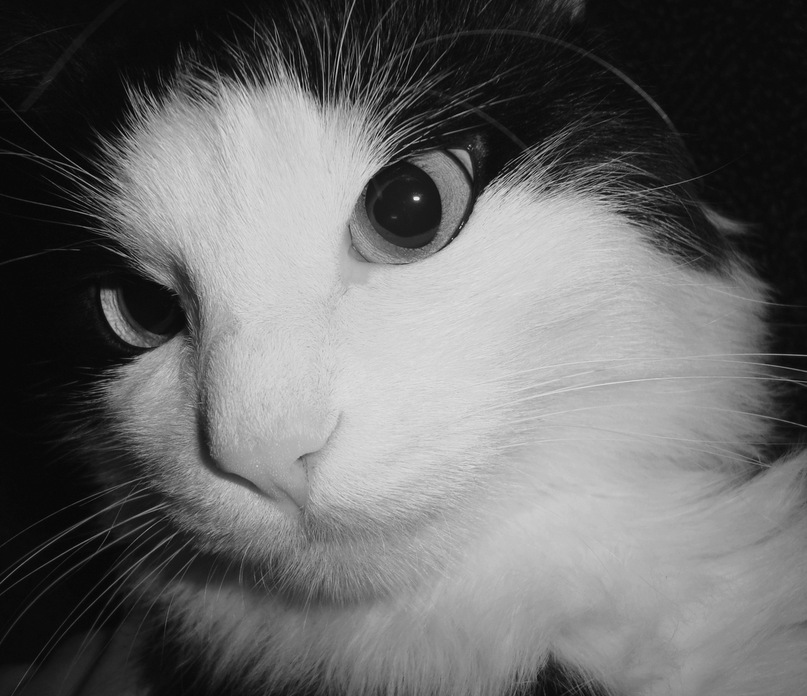 Владимир Олюнин фотография #39