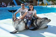 Фотография Омара Хайсама