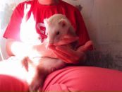 Танечка =) фотография #38 (источник - https://vk.com/id2293374)