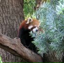 Данил Смирнов фотография #38 (источник - https://vk.com/id532575)