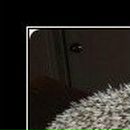 Олексій Марчук фотография #47 (источник - https://vk.com/id58835957)