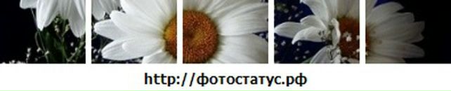 Соломія Паневник фотография #9 (источник - https://vk.com/id85956395)