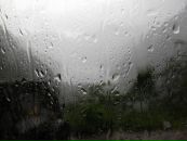 Фотография Архиповой Елены