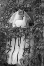 Юлія Орел фотография #44 (источник - https://vk.com/id145104539)
