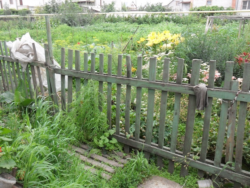 Сергей Башкирцев фотография #49